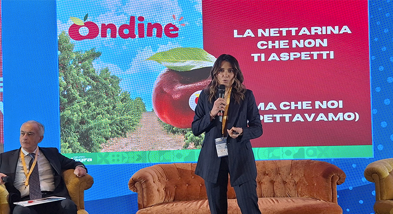 Claudia Iannarella, responsabile marketing di Alegra